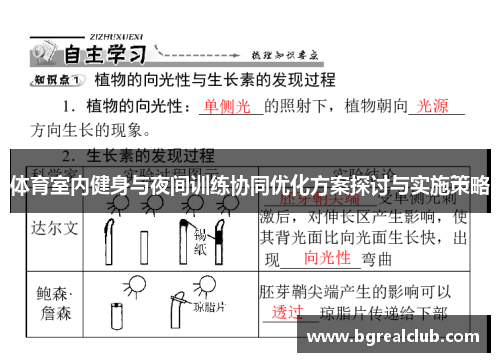 体育室内健身与夜间训练协同优化方案探讨与实施策略