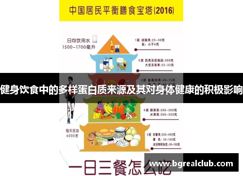 健身饮食中的多样蛋白质来源及其对身体健康的积极影响